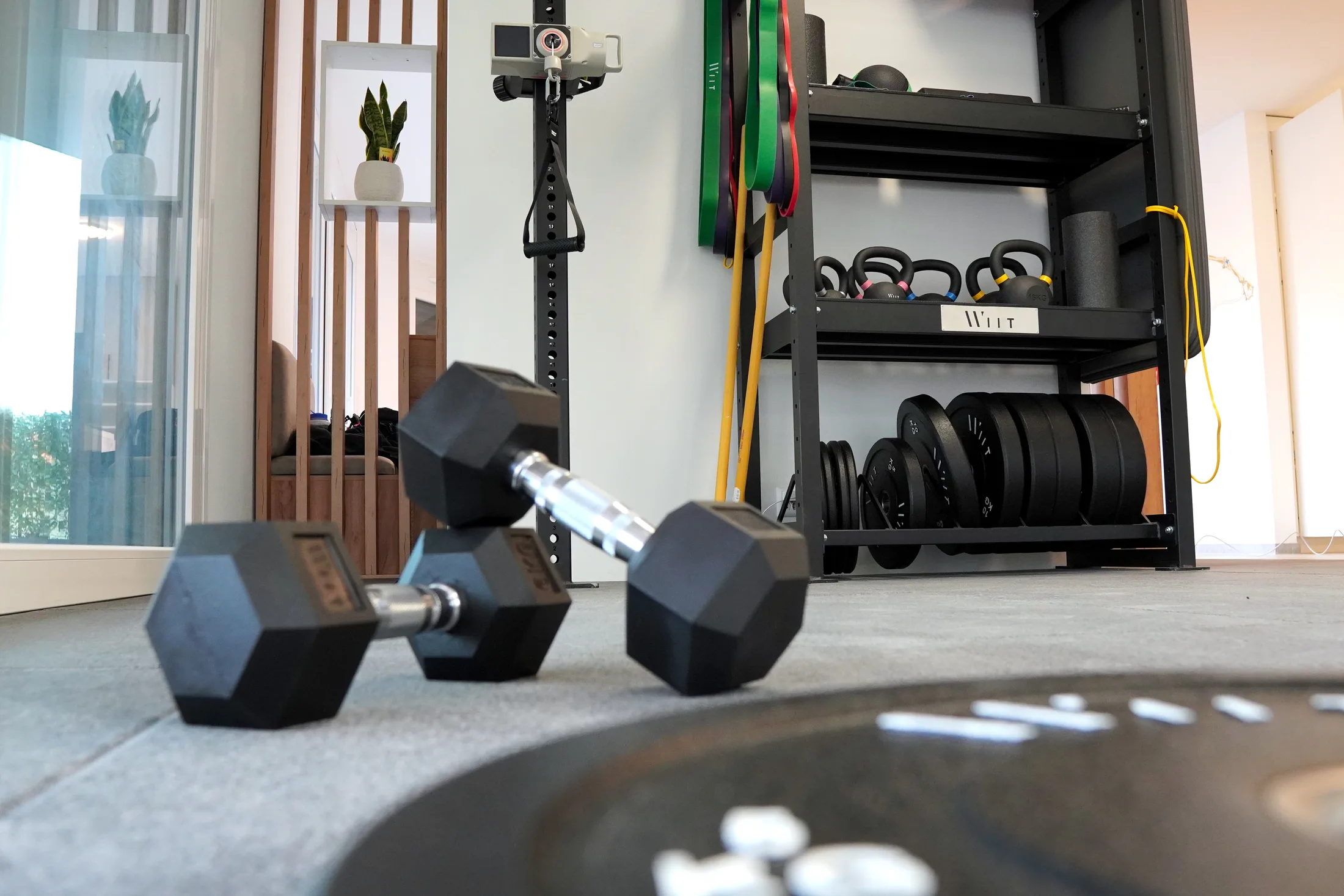 Rack d’haltères du plateau technique du cabinet SwissCab Physio